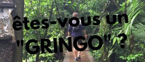 présentation de l'article Holamigo sur êtes vous un gringo