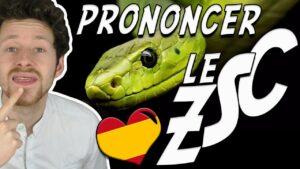 présentation de l'article Holamigo sur la prononciation des lettres C, S, Z en espagnol