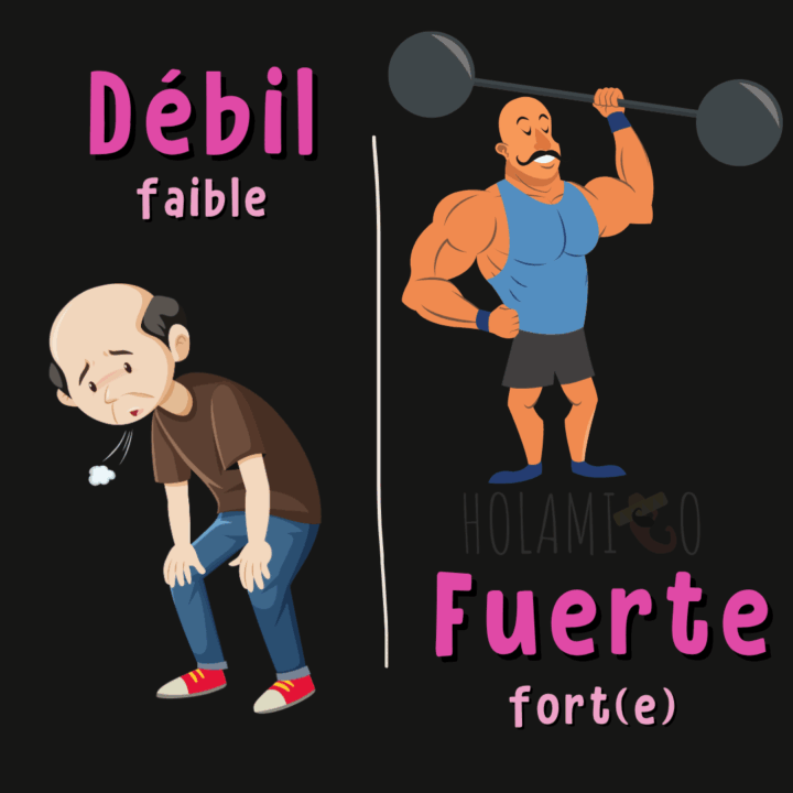 Schéma présentant la différence entre les mots « débil » et « fuerte » en espagnol