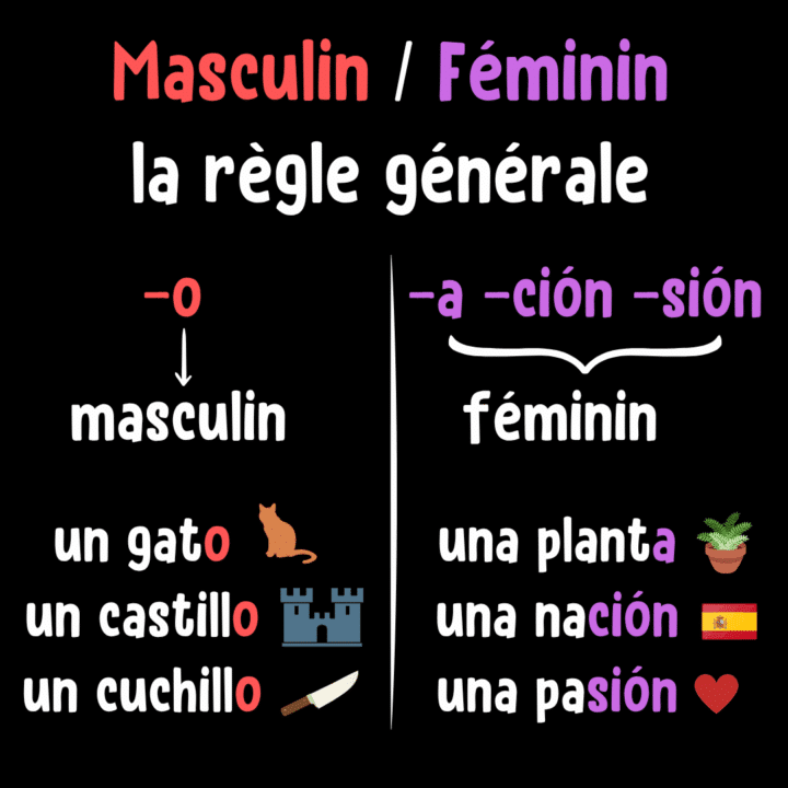 Schéma résumant la règle générale pour distinguer les terminaisons des mots au masculin et au féminin en espagnol avec des exemples et des illustrations