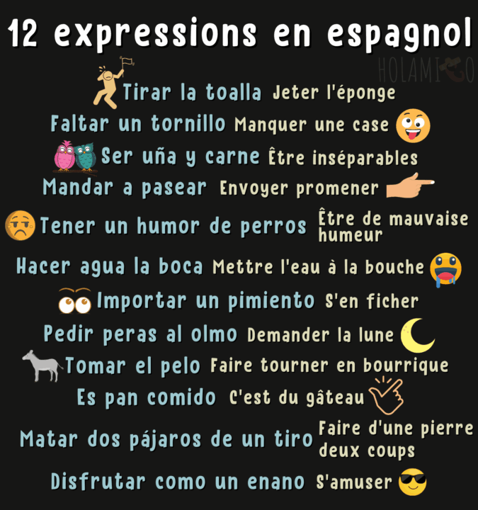 Schéma présentant 12 expressions idiomatiques en espagnol avec la traduction et une illustration pour chacune