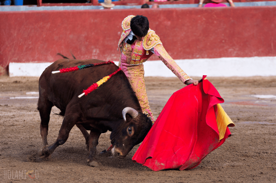 Photo d'un torero dans une corrida espagnole, avec la muleta et le taureau qui essaie de l'encorner